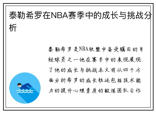 泰勒希罗在NBA赛季中的成长与挑战分析