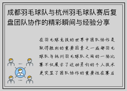 成都羽毛球队与杭州羽毛球队赛后复盘团队协作的精彩瞬间与经验分享